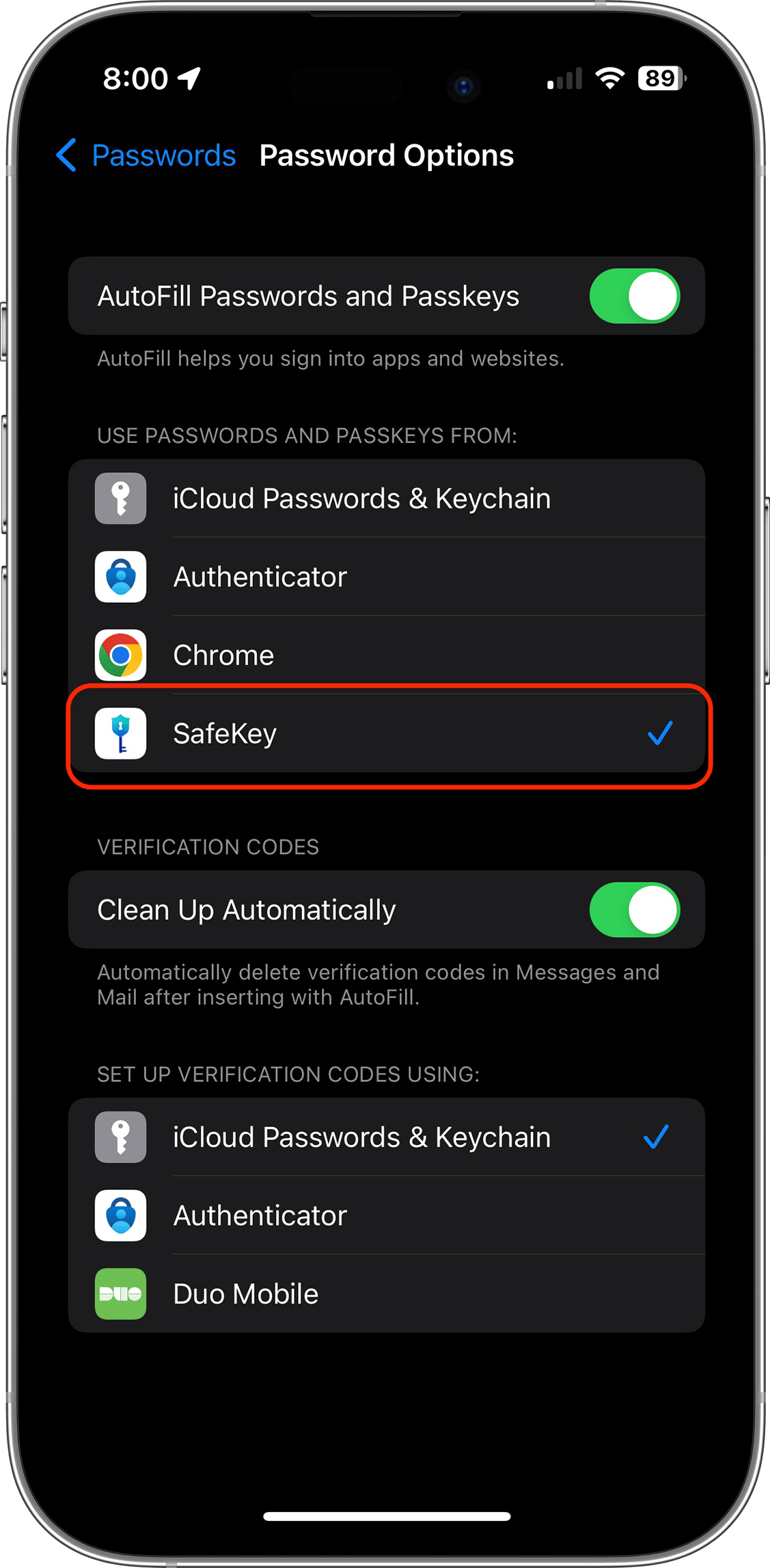 Screenshot of Password Options in iOS Settings app